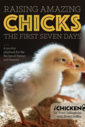 Raising Amazing Chicks Cover
